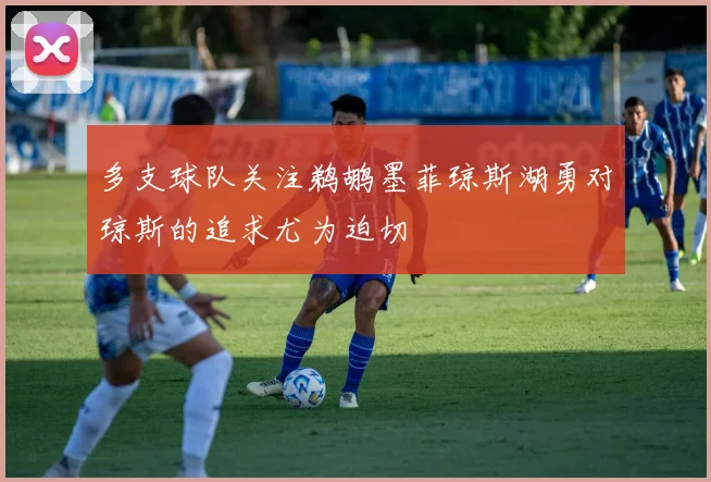 多支球队关注鹈鹕墨菲琼斯湖勇对琼斯的追求尤为迫切