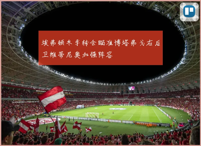 埃弗顿冬季转会瞄准博塔弗戈右后卫维蒂尼奥加强阵容